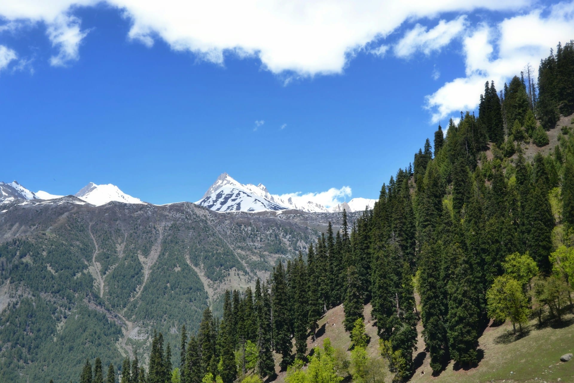 Kashmir Tour 5N6D